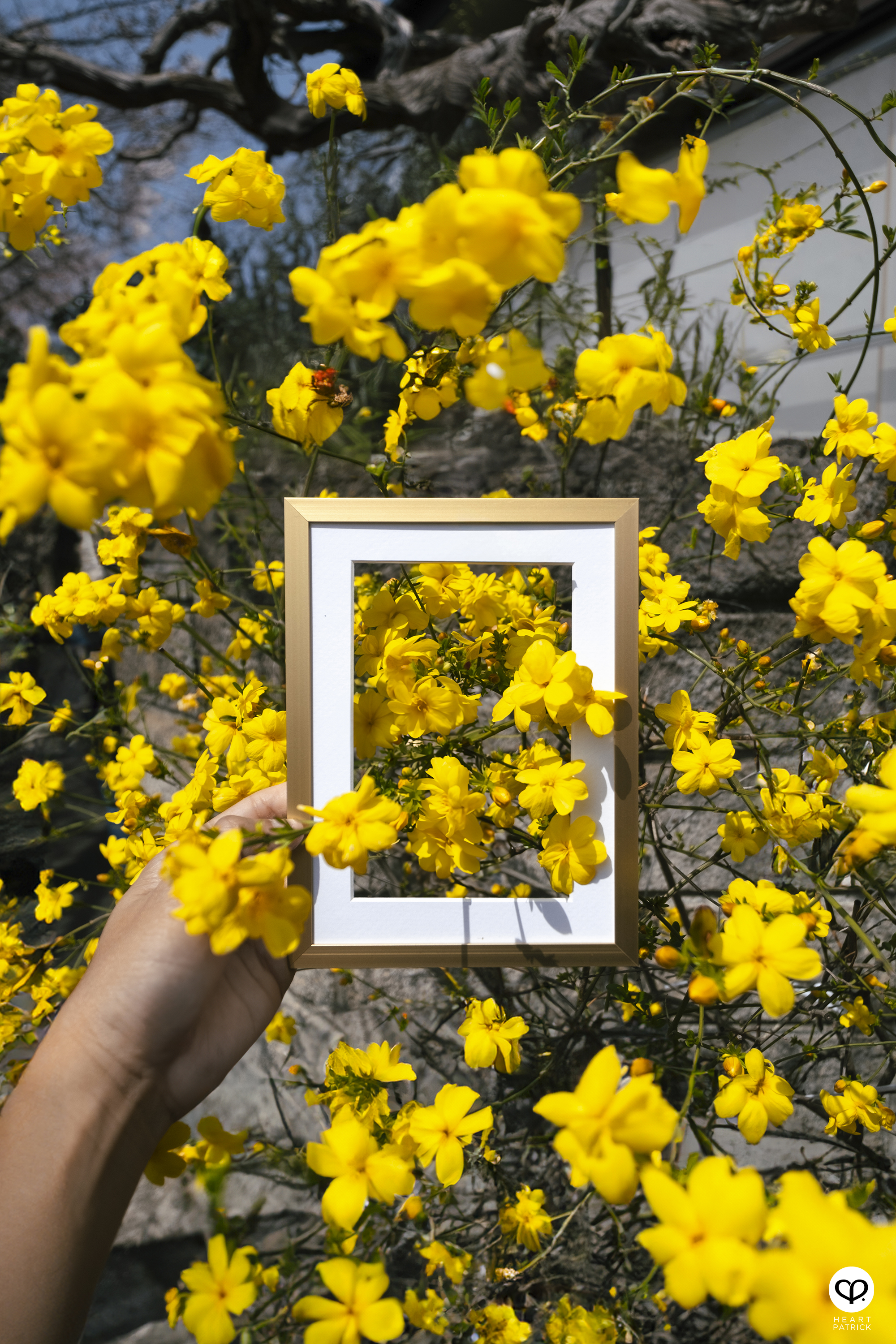 heartpatrick travel creative photography spring photo frame tokyo japan