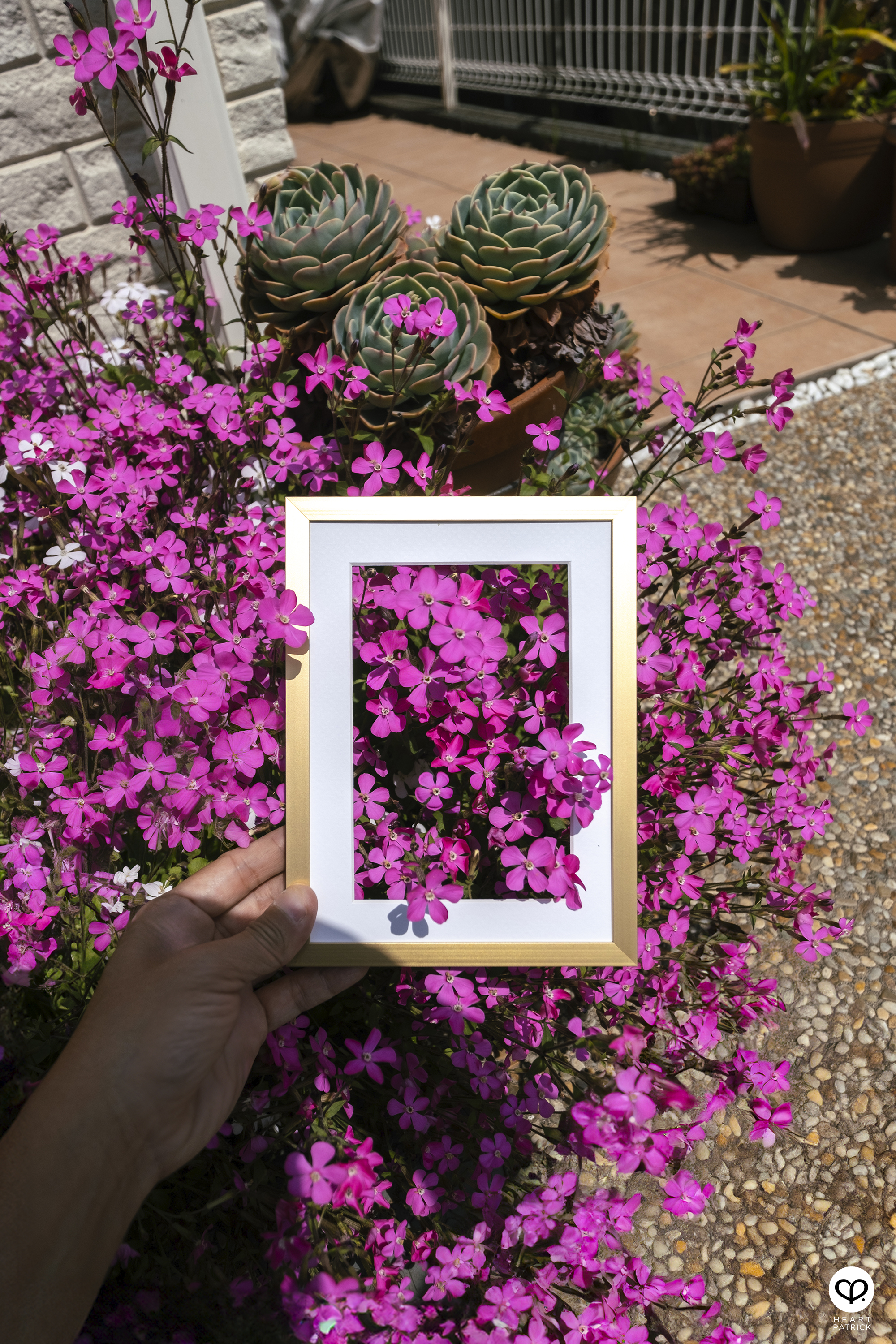 heartpatrick travel creative photography spring photo frame tokyo japan