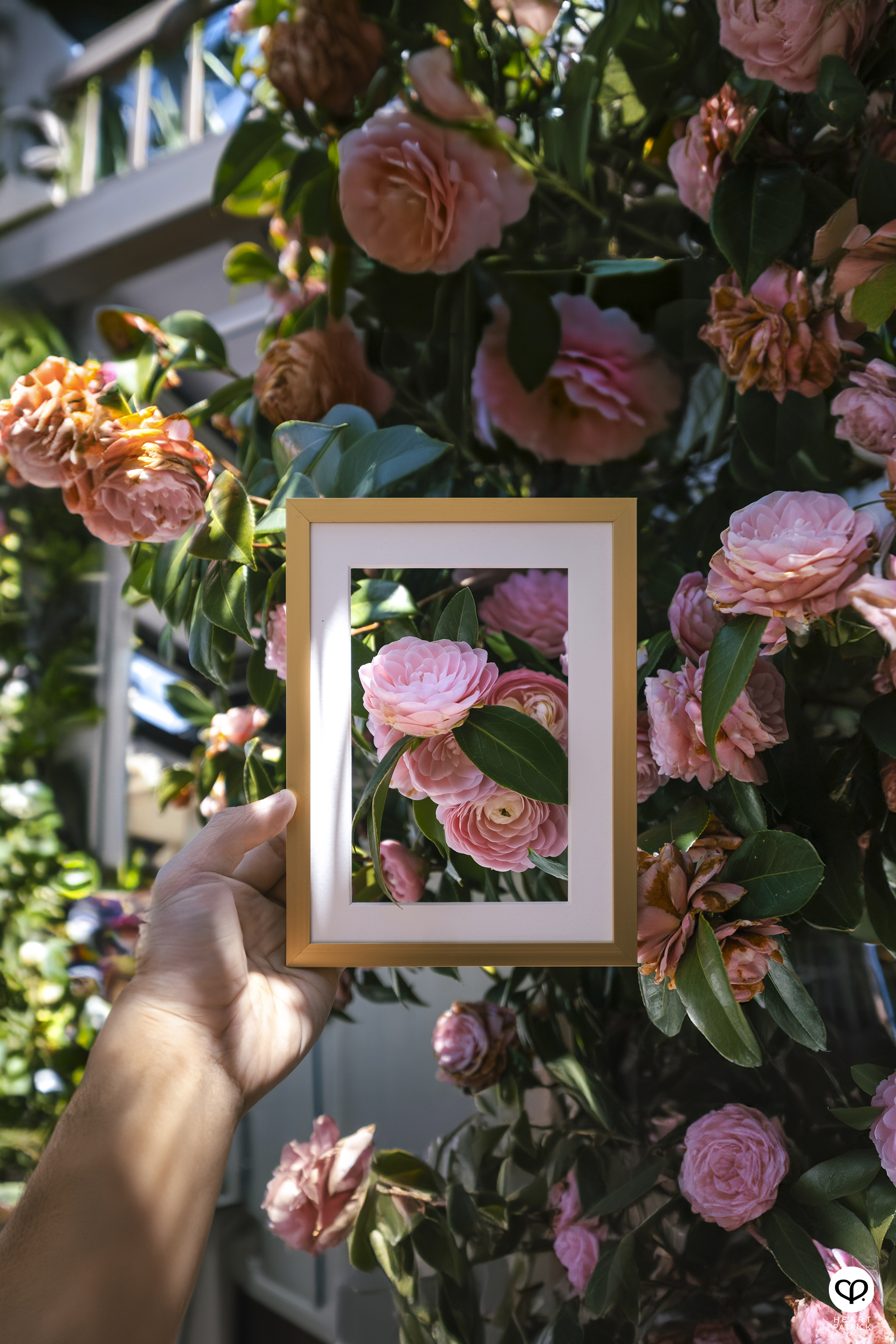 heartpatrick travel creative photography spring photo frame tokyo japan