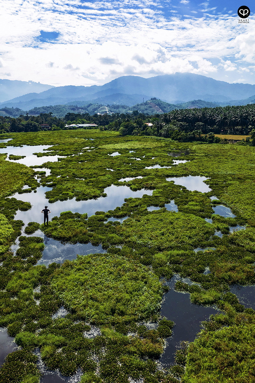 heartpatrick urban exploring unexplored pond ulu yam