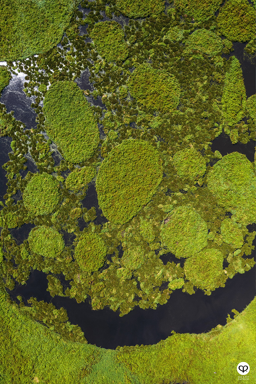 heartpatrick urban exploring unexplored pond ulu yam