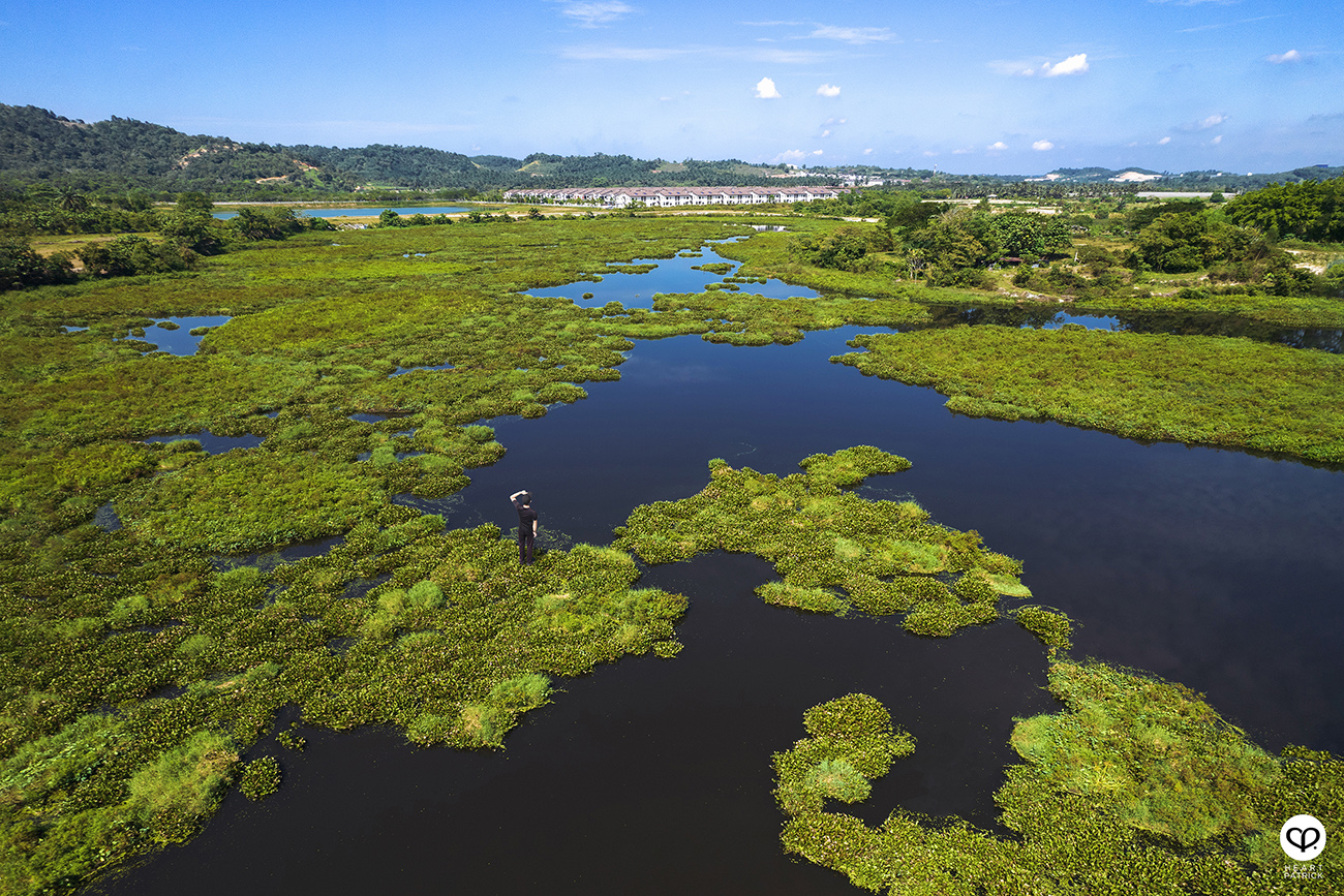 heartpatrick urban exploring unexplored pond ulu yam