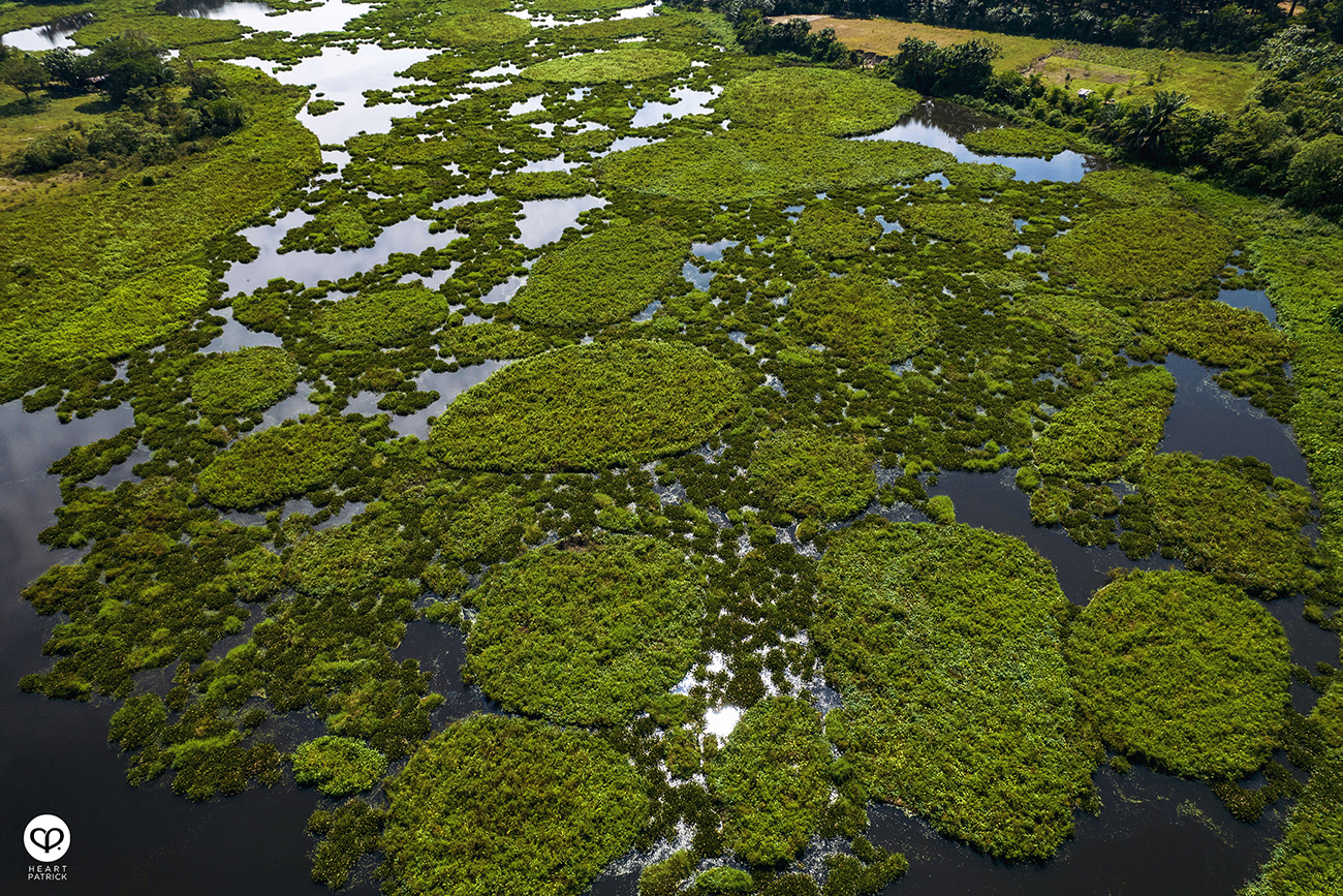 heartpatrick urban exploring unexplored pond ulu yam