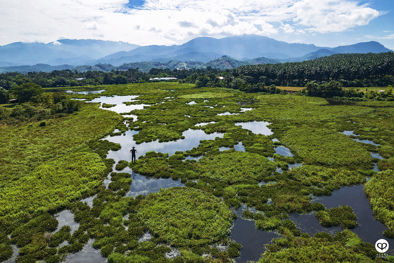 heartpatrick urban exploring unexplored pond ulu yam