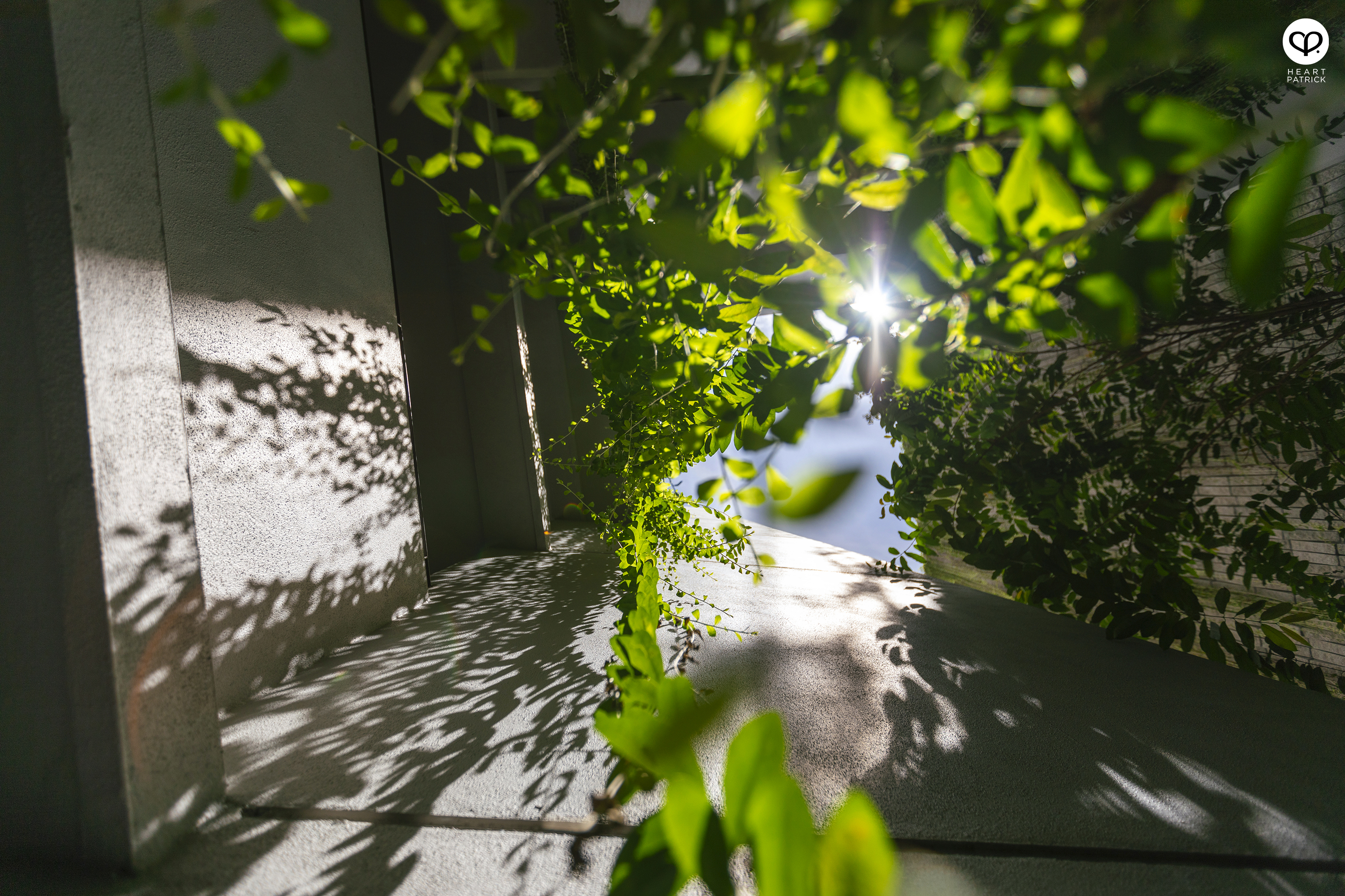 heartpatrick architecture interior property developer photography utamara boutique residences parkwood yhsA architects