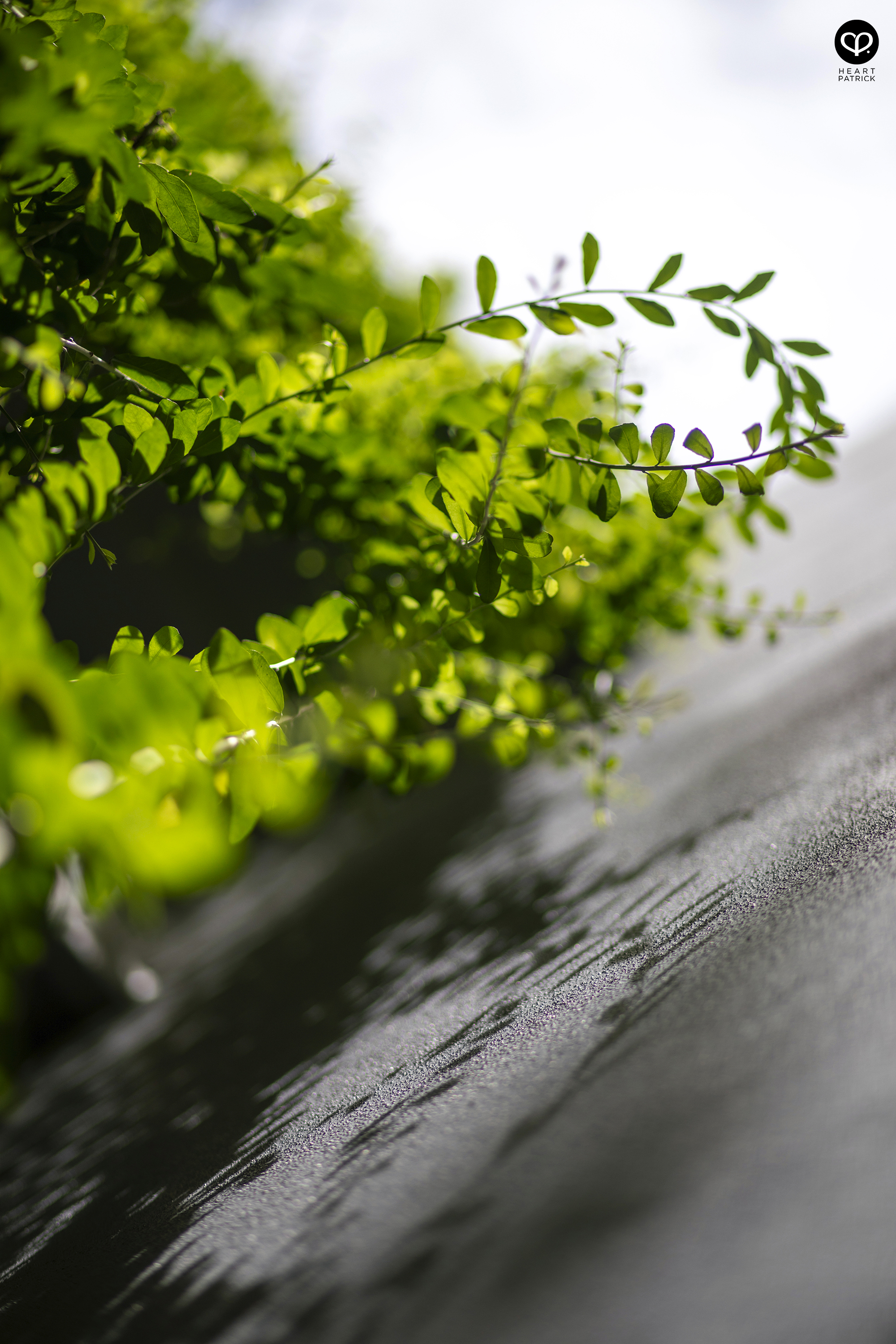 heartpatrick architecture interior property developer photography utamara boutique residences parkwood yhsA architects