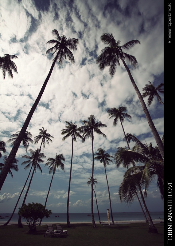 prewedding singapore pulau bintan island
