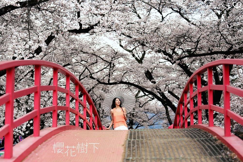 heartpatrick wedding prewedding destination sakura japan cherry blossom