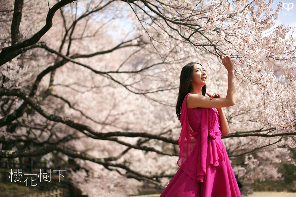 heartpatrick wedding prewedding destination sakura japan cherry blossom