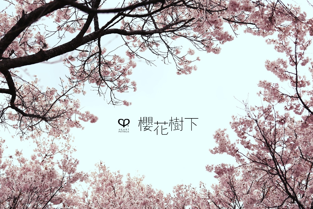 heartpatrick wedding prewedding destination sakura japan cherry blossom