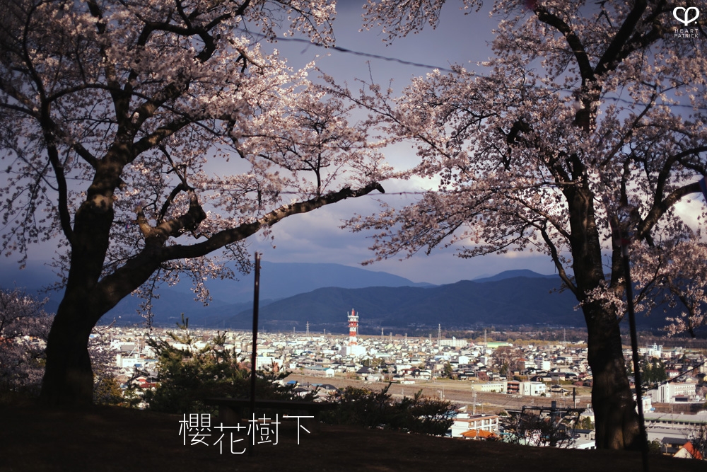 heartpatrick wedding prewedding destination sakura japan cherry blossom