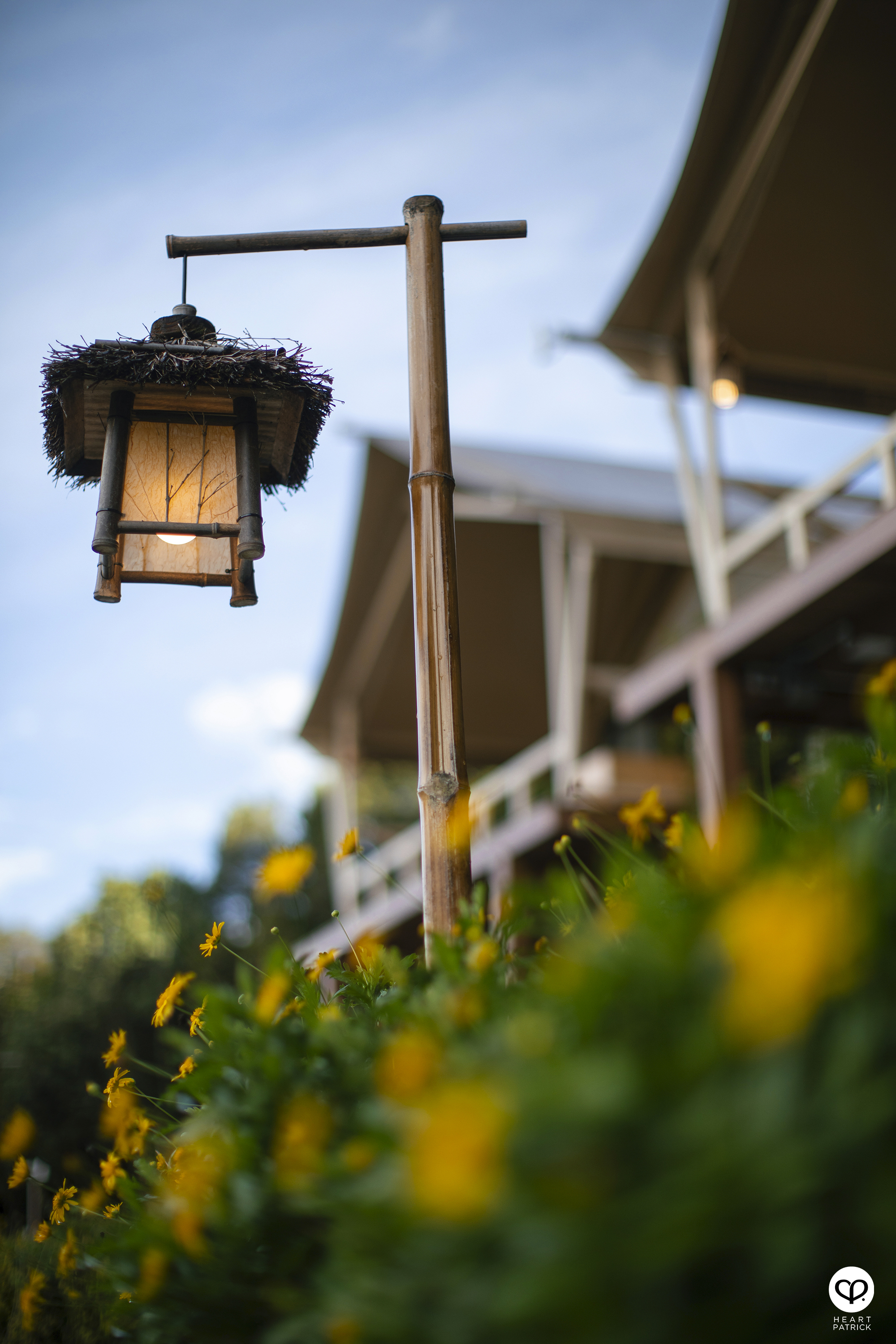 heartpatrick resort architecture interior photography zen stellar cameron highlands